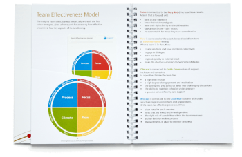 Discovering Team Effectiveness