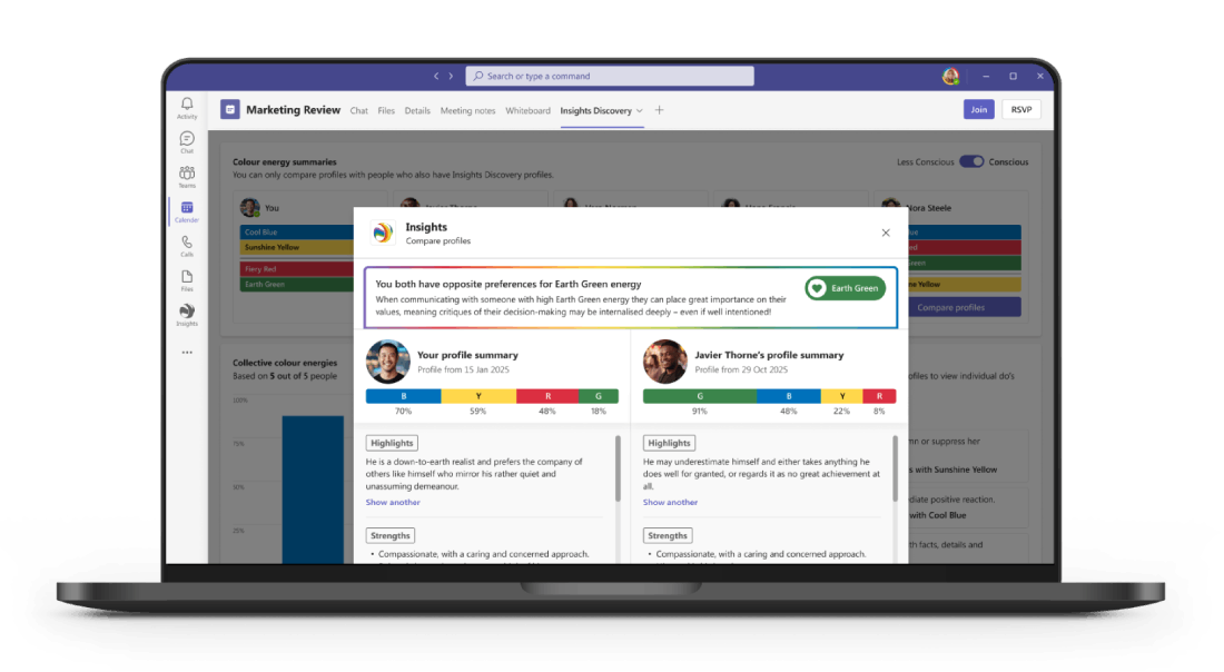 Insights Discovery laptop screenshot