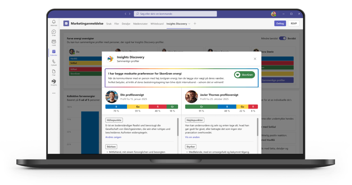 Insights Discovery laptop screenshot