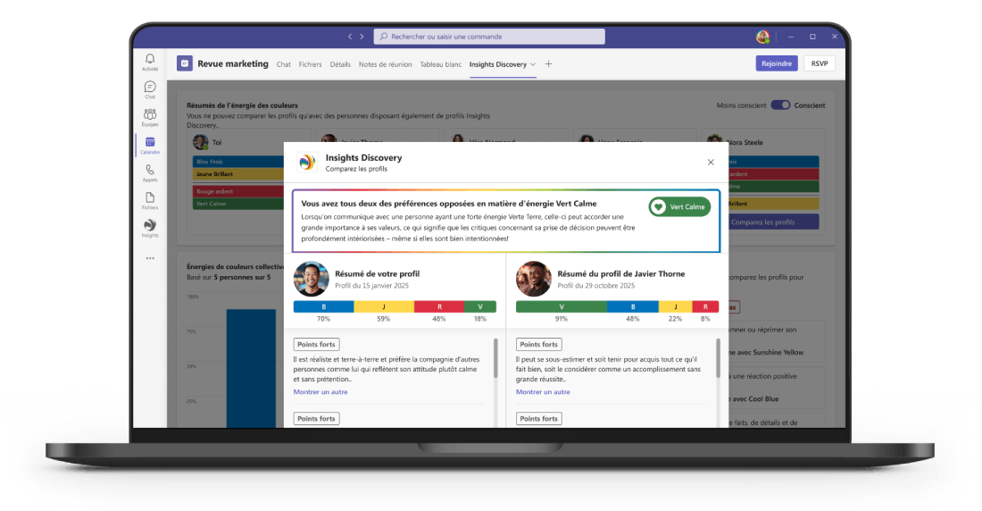 Insights Discovery laptop screenshot