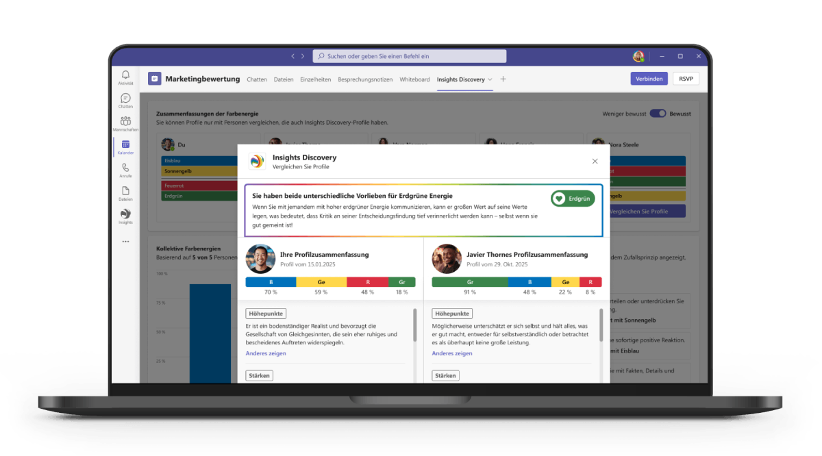 Insights Discovery laptop screenshot